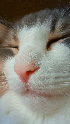 201002221334000.jpg