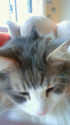 201003081554000.jpg