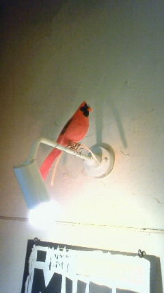 201003311543000.jpg