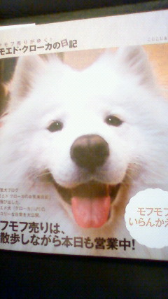201004041958000.jpg