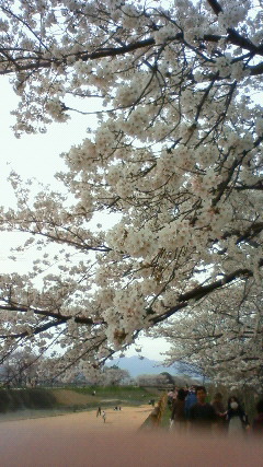 201004051456000.jpg