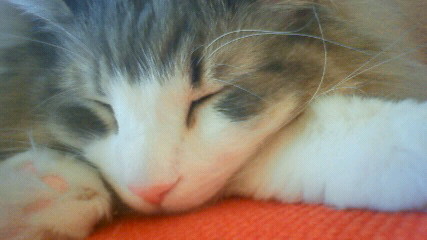 201005031644000.jpg