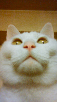 201005311953001.jpg