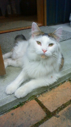 201006071710000.jpg