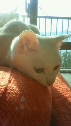 201010181536000.jpg