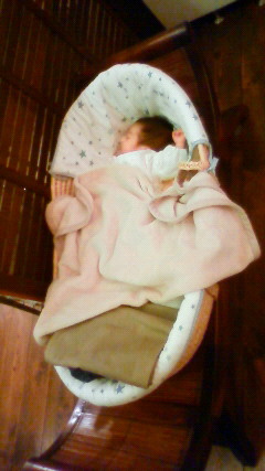 201010241912000.jpg
