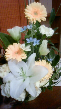 201010242151000.jpg