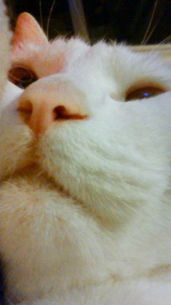 201011230033000.jpg
