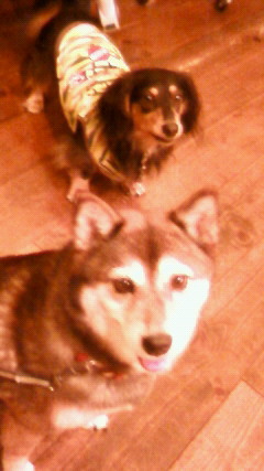201011231955000.jpg