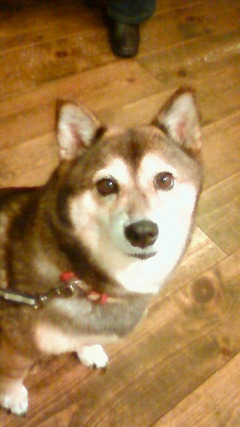 201011231956000.jpg