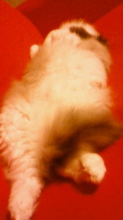 201012230217000.jpg