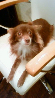 201012251936000.jpg
