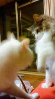 201012252055000.jpg