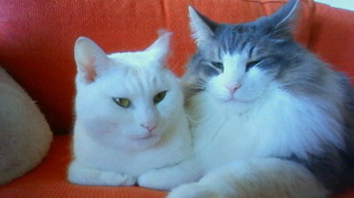 201012271304000.jpg