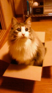 201101161914001.jpg