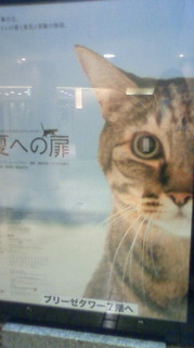 201101242007000.jpg