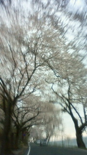 201104181626000.jpg