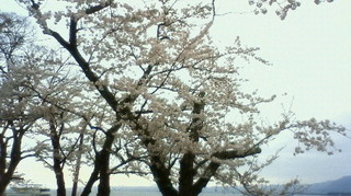 201104181630000.jpg
