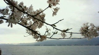201104181634000.jpg