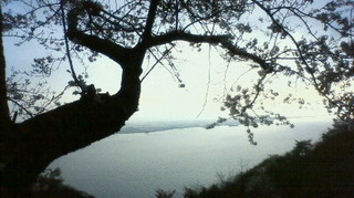 201104181709000.jpg