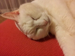 20120312_234345.jpg