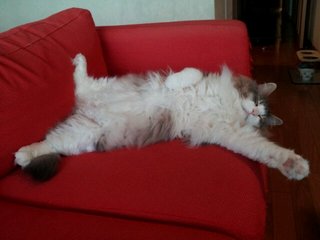 20120702_053112.jpg