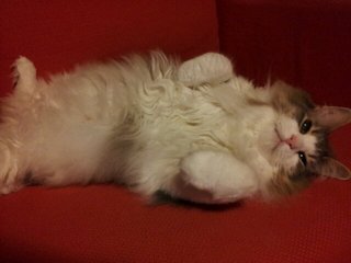 20120728_222840.jpg
