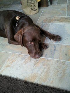 20120730_124851.jpg