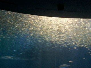 20120813_165928.jpg