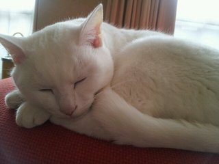 20121217_104212.jpg