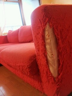 20121217_161518.jpg