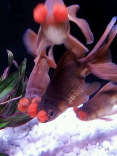 20130114_134740.jpg