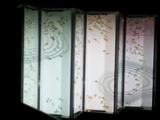 20130114_135239-1440611805.jpg