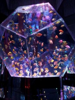 20130114_135932.jpg