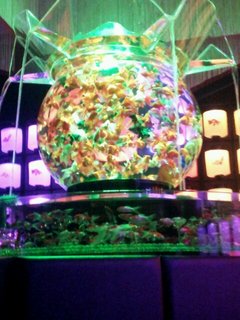 20130114_135959--1558429774.jpg