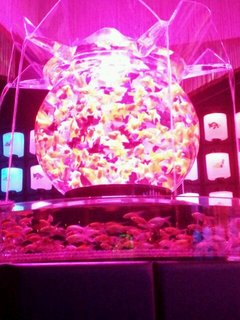 20130114_140008-1186785921.jpg