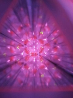 20130114_140510-1973010169.jpg