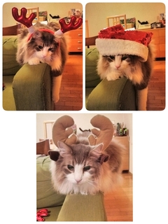 2014-12-25-17-06-09_deco.jpg