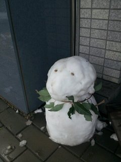 20140119_115629.jpg