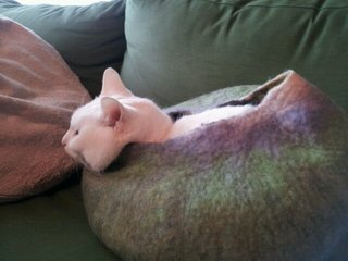20140203_145508.jpg