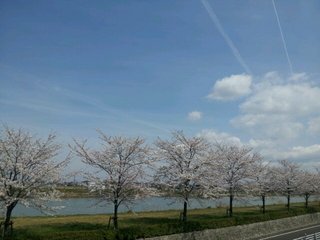 20140403_113256.jpg