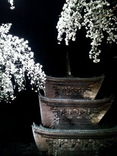 20140403_205011.jpg