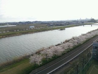 20140405_074552.jpg