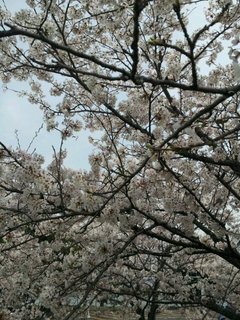 20140407_130722.jpg