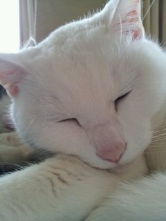 20140412_100346.jpg