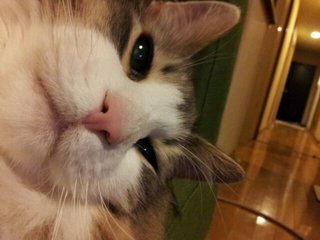 20140412_213159.jpg