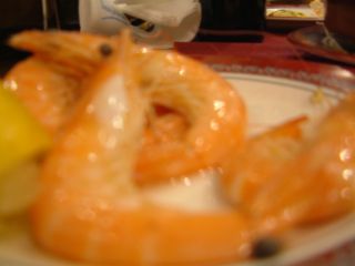 DSCF0127_R.JPG