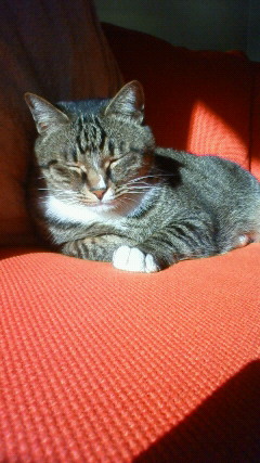 200812151402000.jpg
