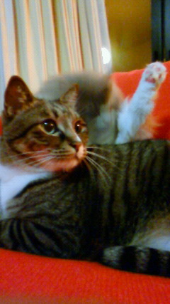 200812151947000.jpg