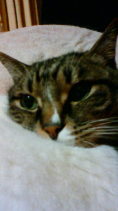 200901150012000.jpg